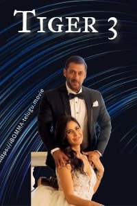 Tiger 3 movie review