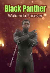 Black Panther: Wakanda Forever